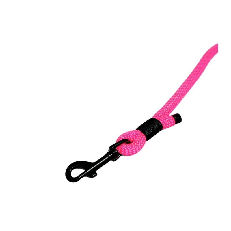 Blacklight Pulse Mini – Verstellbare Leine von Taikahiiri – Maximale Flexibilität und Stil für deinen Hund!