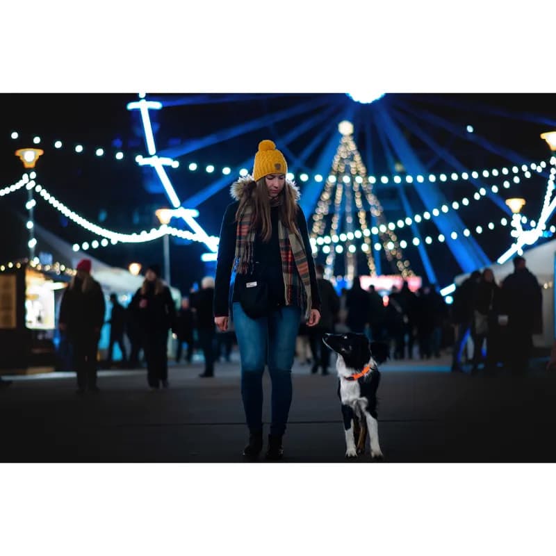 Safe Collar – Halsband von Non Stop – Höchste Sicherheit und Komfort für deinen Hund bei allen Aktivitäten!