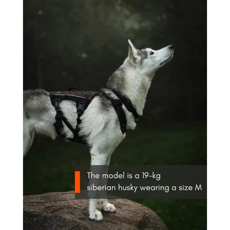 Rock Harness Long – Vielseitiges Hundegeschirr von Non Stop für maximale Power und Komfort bei jedem Abenteuer!