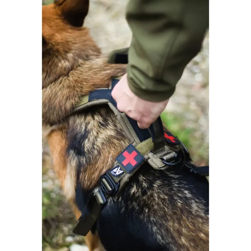 Line Harness Grip – Das Premium-Geschirr für Sport, Training & Abenteuer, Non-Stop dogware