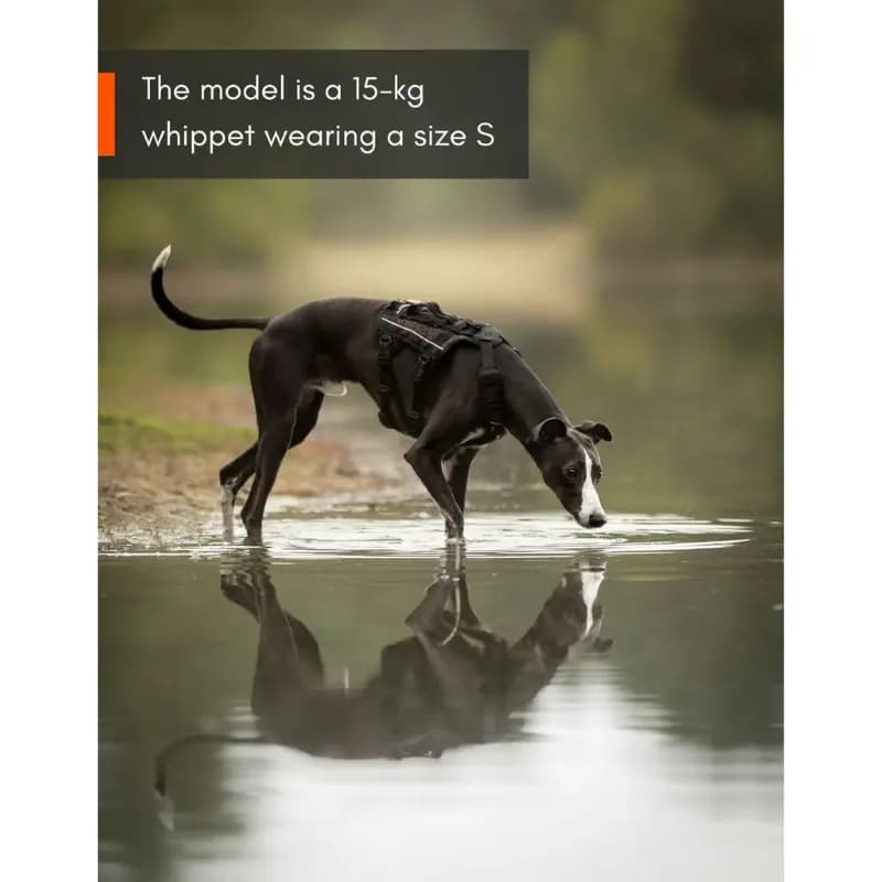 Rock Harness Long – Vielseitiges Hundegeschirr von Non Stop für maximale Power und Komfort bei jedem Abenteuer!
