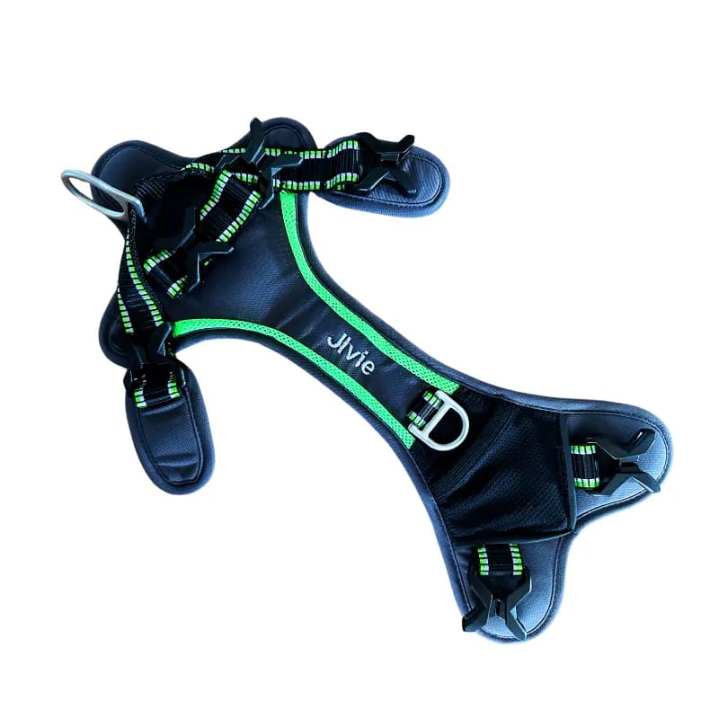 Bestickung für Hundegeschirre - individuell nach deinem Wunsch