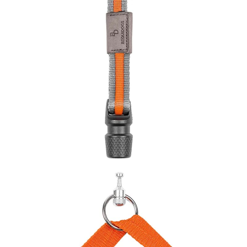 CONTROL – Profi-Hundeleine für Sport und Mantrailing, BequiDogs