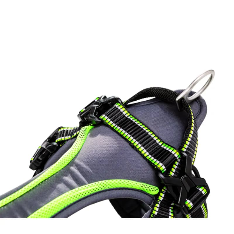 FREE WORK Hundegeschirr für Mantrailing von BequiDogs – Optimale Kontrolle und Komfort für dein Training!