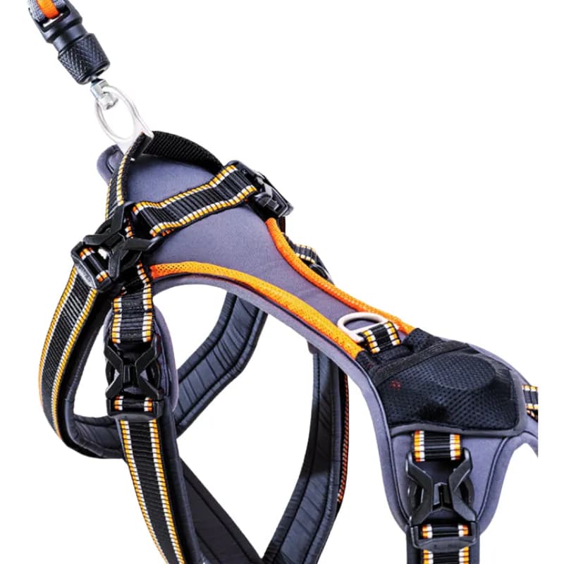 FREE WORK Hundegeschirr für Mantrailing von BequiDogs – Optimale Kontrolle und Komfort für dein Training!