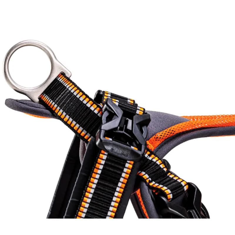 FREE WORK Hundegeschirr für Mantrailing von BequiDogs – Optimale Kontrolle und Komfort für dein Training!