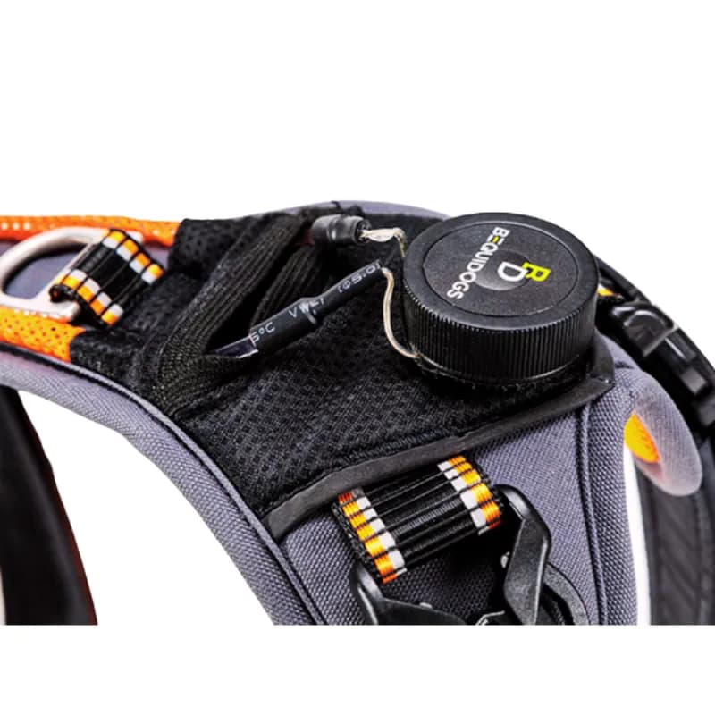 FREE WORK Hundegeschirr für Mantrailing von BequiDogs – Optimale Kontrolle und Komfort für dein Training!