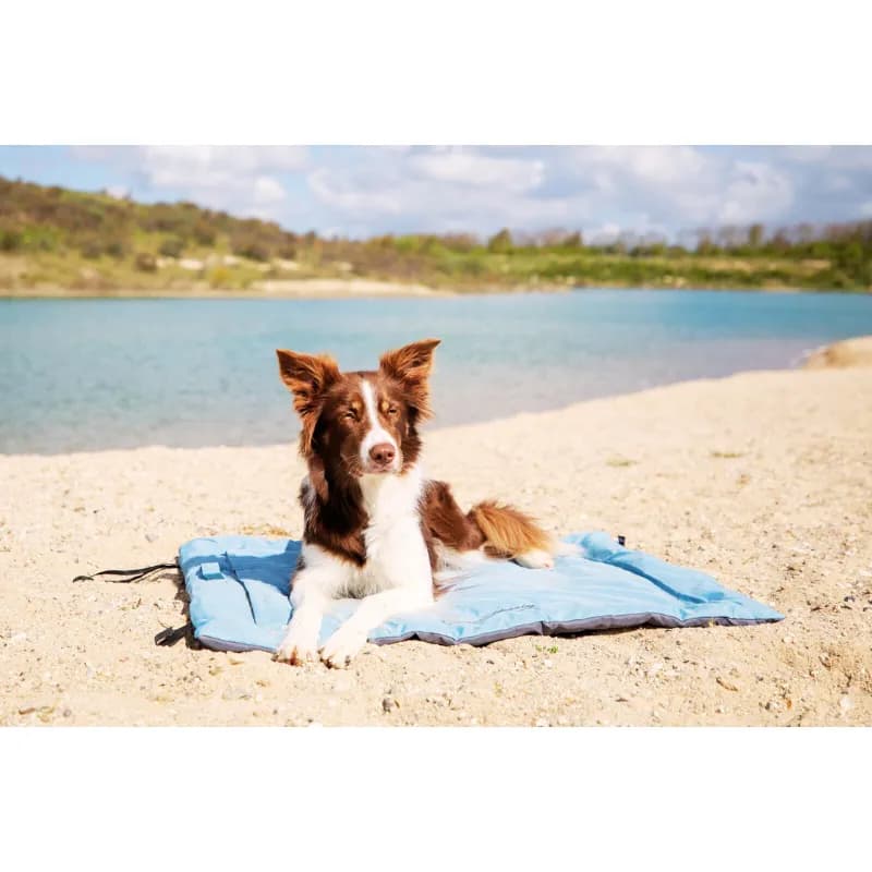 Reisedecke Samoa Classic, eisblau/grau – Ideal für draußen, Hundedecke von Trixie für unterwegs fèr Heise Tage!