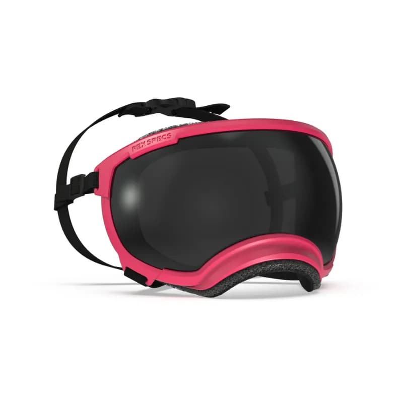 Rex Specs Hundebrille – V2 – Der ultimative Augenschutz für deinen Hund bei allen Abenteuern!