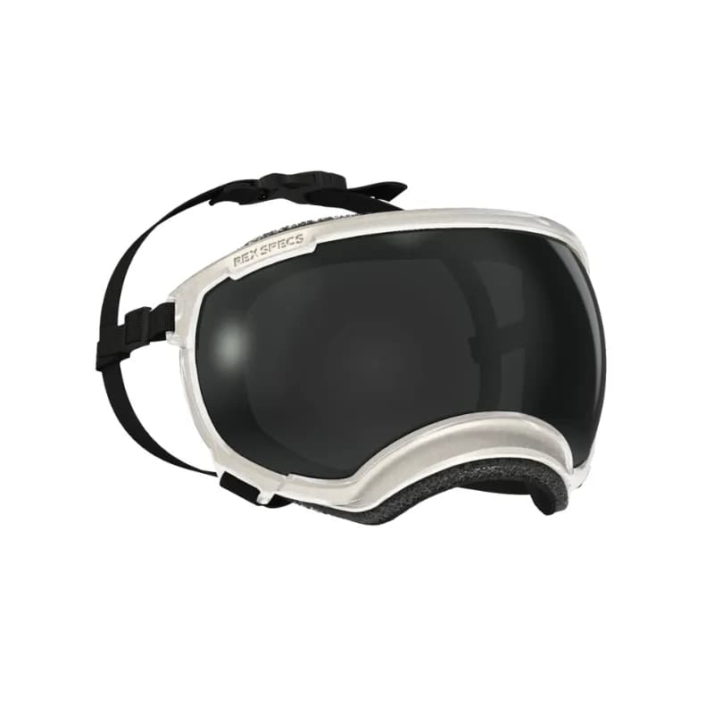 Rex Specs Hundebrille – V2 – Der ultimative Augenschutz für deinen Hund bei allen Abenteuern!