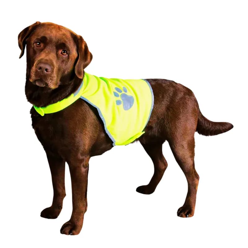 Sicherheitsweste – Sichtbarkeit & Schutz für deinen Hund!,Trixie